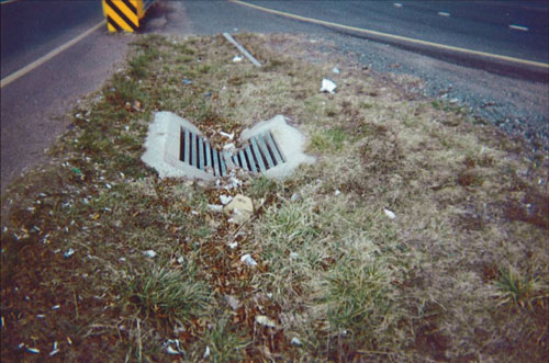 Photo. This photo shows a v-shaped grate in the center median of a divided roadway.
