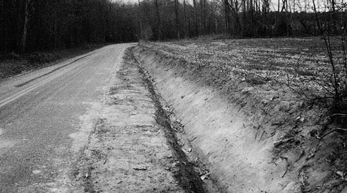 Photo. This photo shows a regraded earth shoulder with a steep, wall-like backslope.