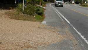 Photo.  A gravel driveway connecting to a multi-lane road.  The gravel from the driveway has partially covered the roadways’ bikeable shoulder. 